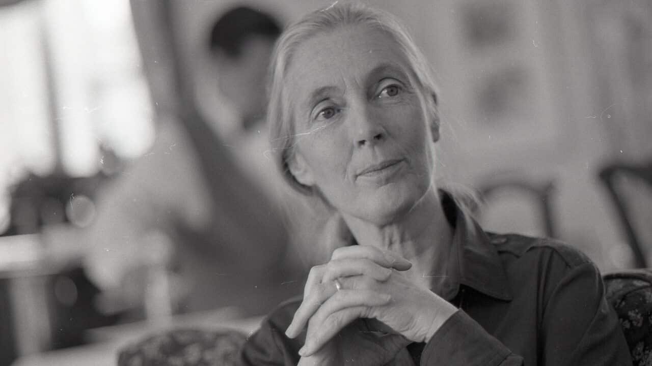 Obit Jane Goodall