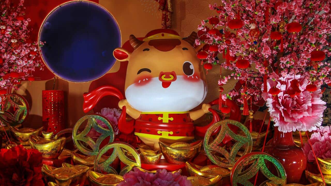 Lunar New Year 2021 is the Year of the Ox