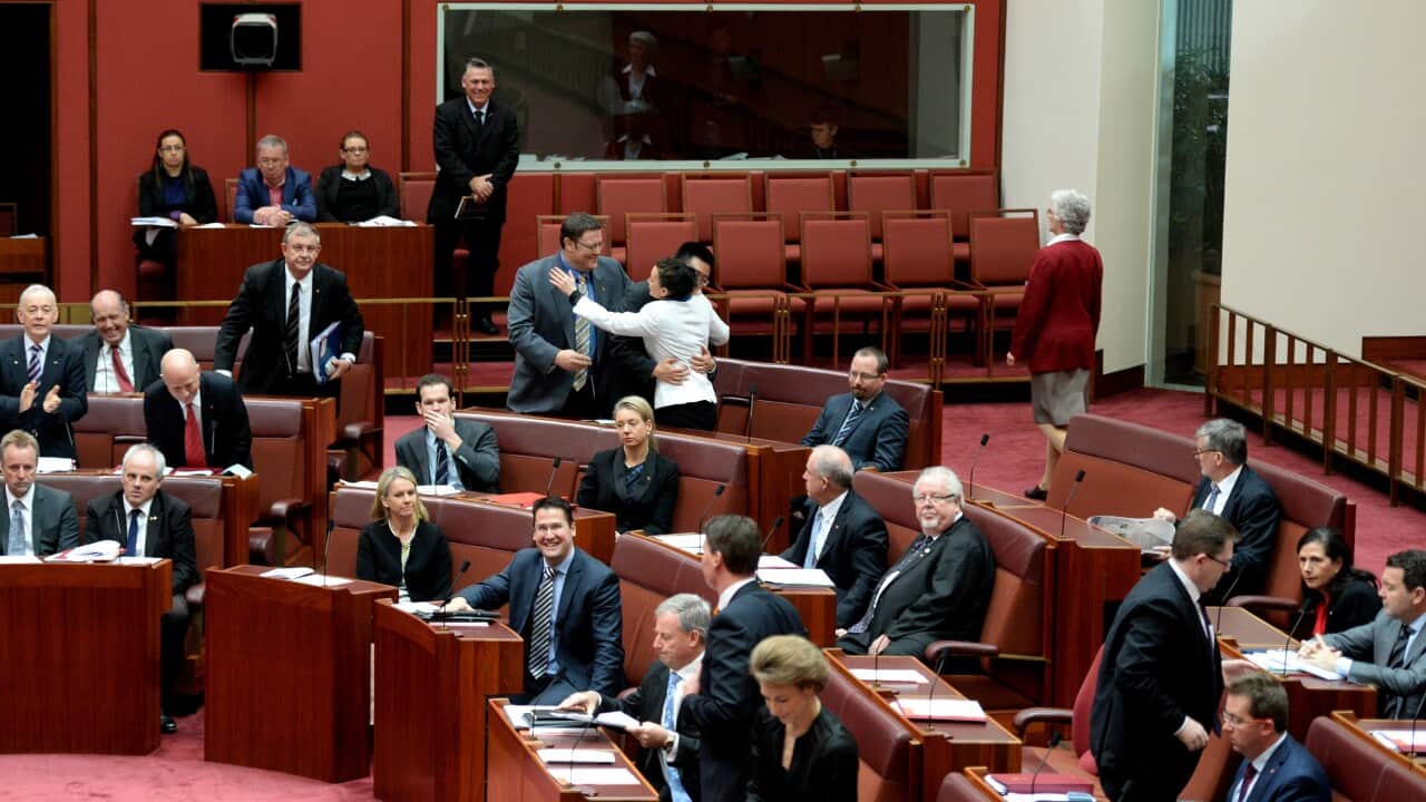 carbon tax celebrations in senate