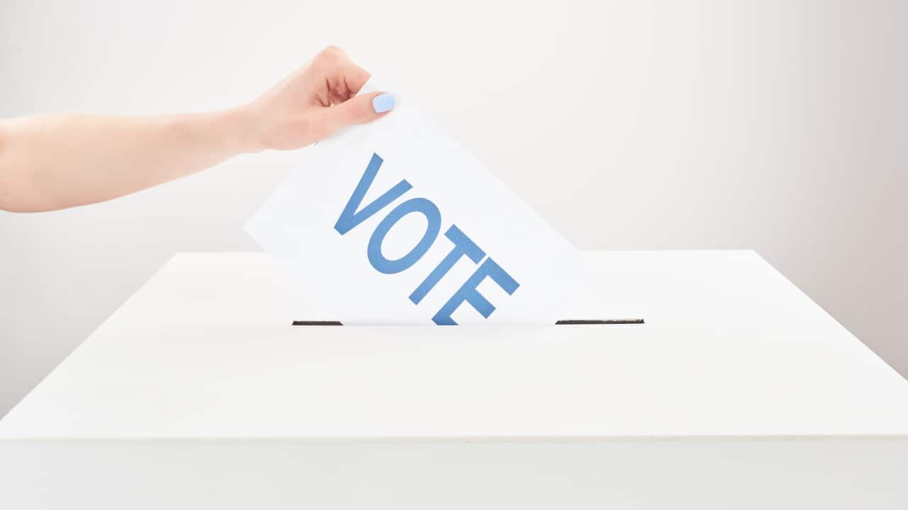 partial view of woman putting vote in box on grey background
