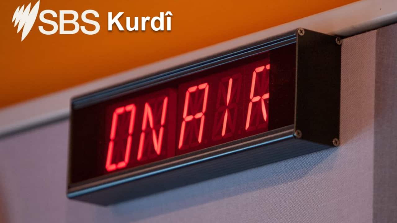 sbs kurdi newsflash.png