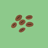 Coffee: Caffeine hit, productivity booster, wedding custom