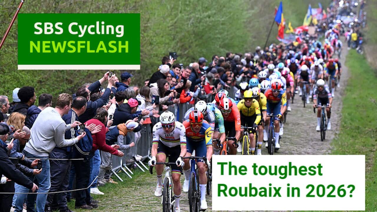 ROUBAIX, FRANCE - APRIL 13: Tadej Pogacar of Slovenia and UAE Team Emirates - XRG and Mads Pedersen of Denmark and Team Lidl - Trek lead the peloton passing through the Trouée d'Arenberg cobblestones sector during the 122nd Paris - Roubaix 2025 a 259.2km one day race from Compiegne to Roubaix / #UCIWT / on April 13, 2025 in Roubaix, France. (Photo by Dario Belingheri/Getty Images)