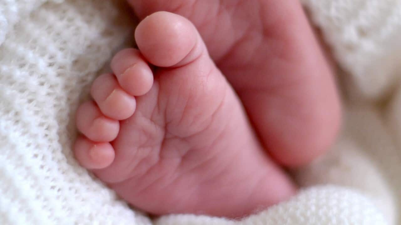 a newborn baby's feet