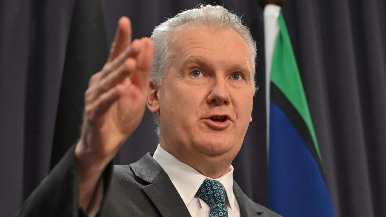 Image for read more article '更多內容'