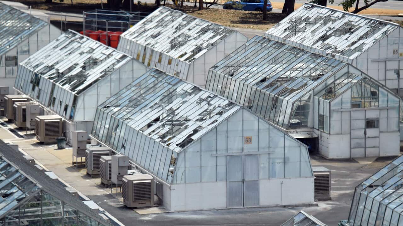 CSIRO glasshouses damaged in the Canberra hail storm