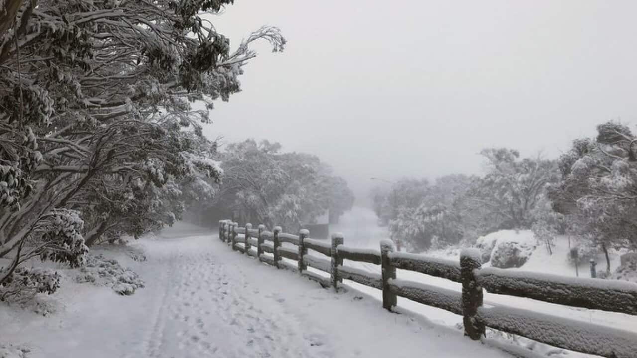 بارش برف در منطفه ماونت بولر در ایالت ویکتوریا
