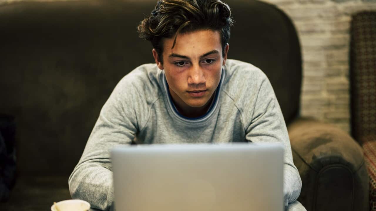 Image for read more article ''