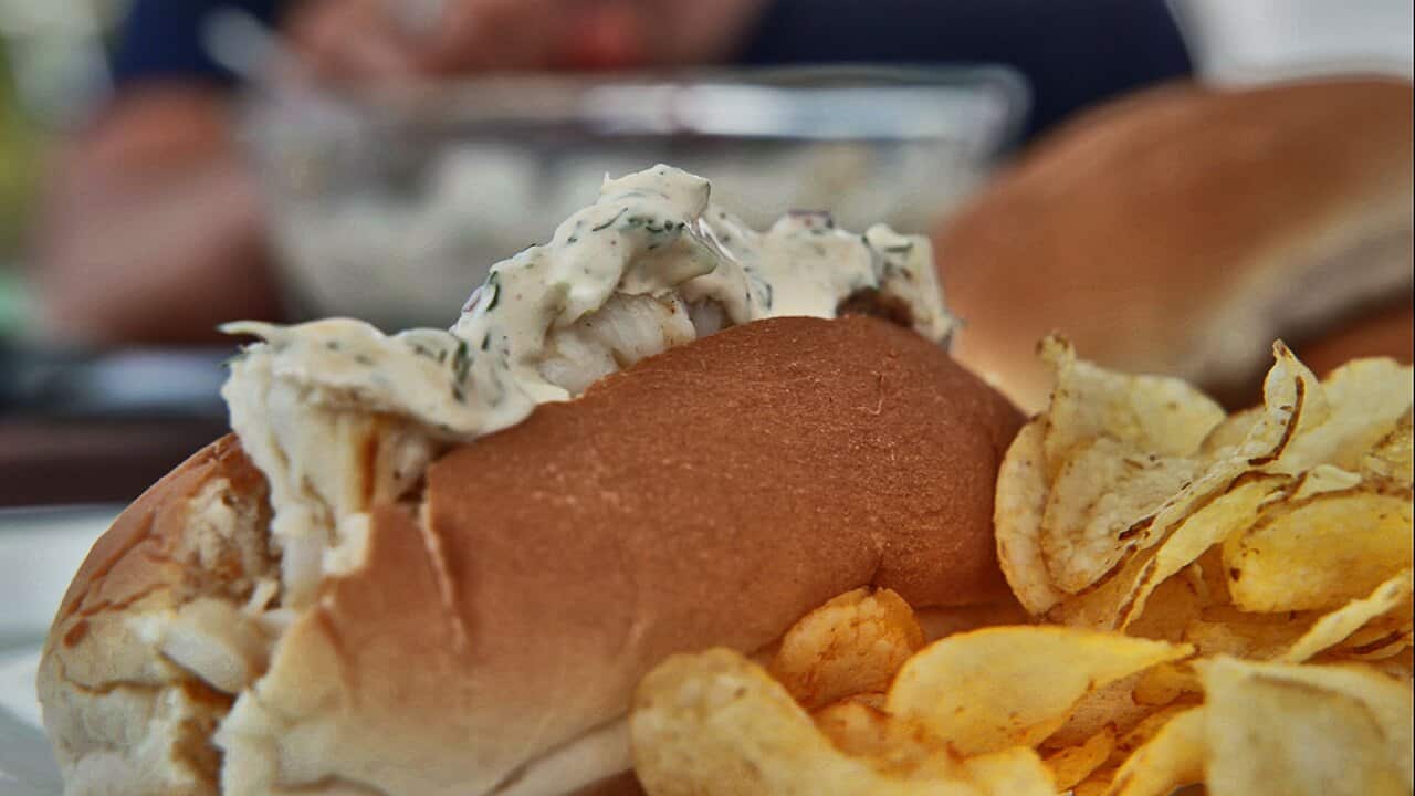 Hayden Quinn's Moreton Bay bug roll