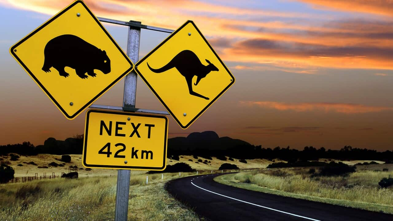 Australian Road Sign