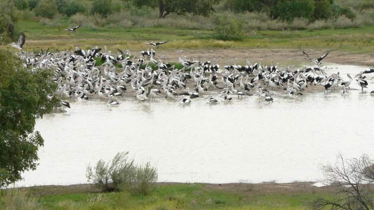 The flood affected region of Diamantina in Western Queensland