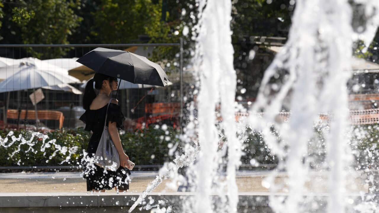 Image for read more article '相關內容'