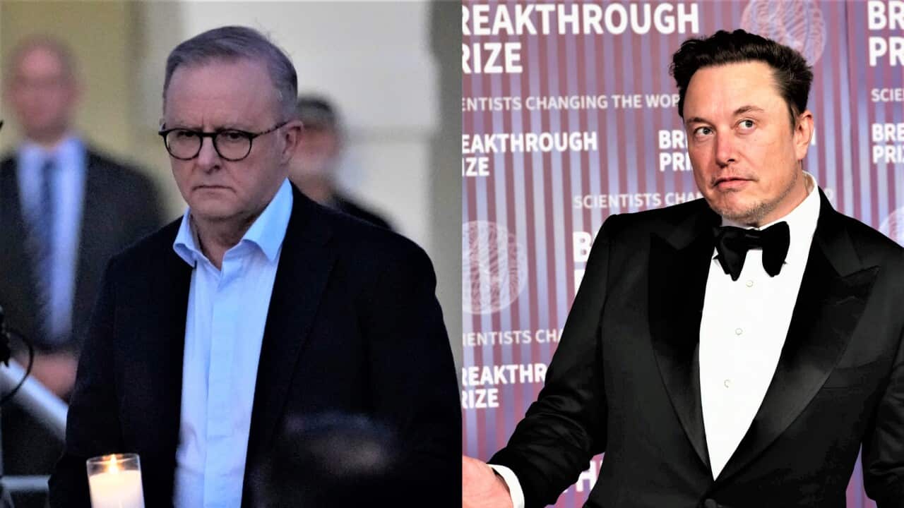 Anthony Albanese, Elon Musk