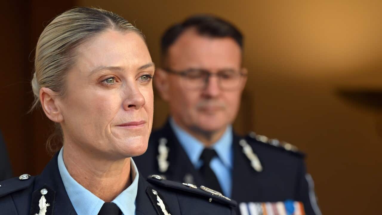 Image for read more article 'පසුගිය SBS සිංහල පුවත්'