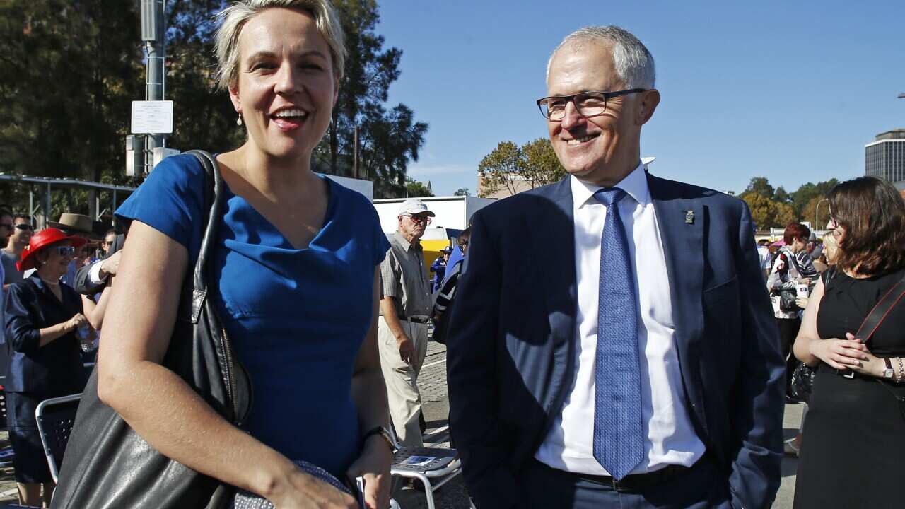 Tanya Plibersek and Malcolm Turnbull.