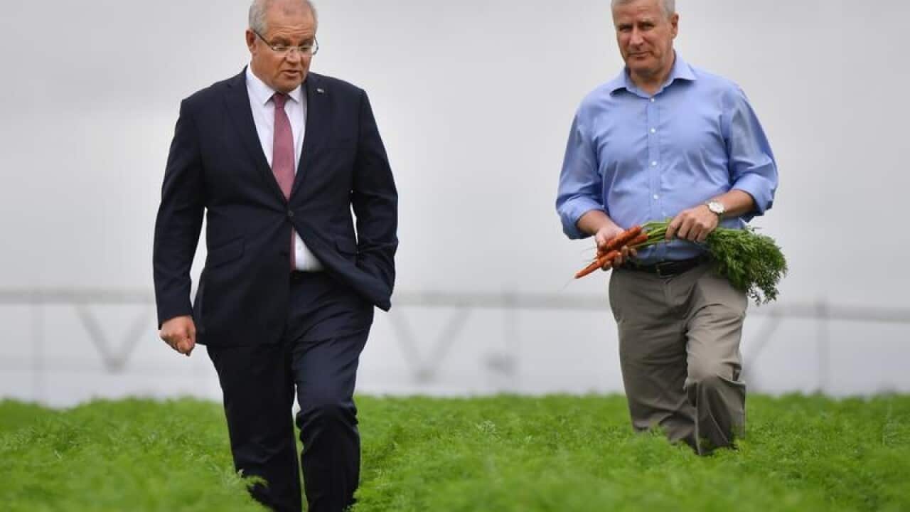 Scott Morrison Michael McCormack