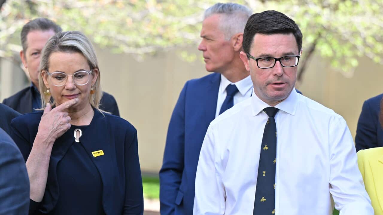PERIN DAVEY MURRAY DARLING PRESSER