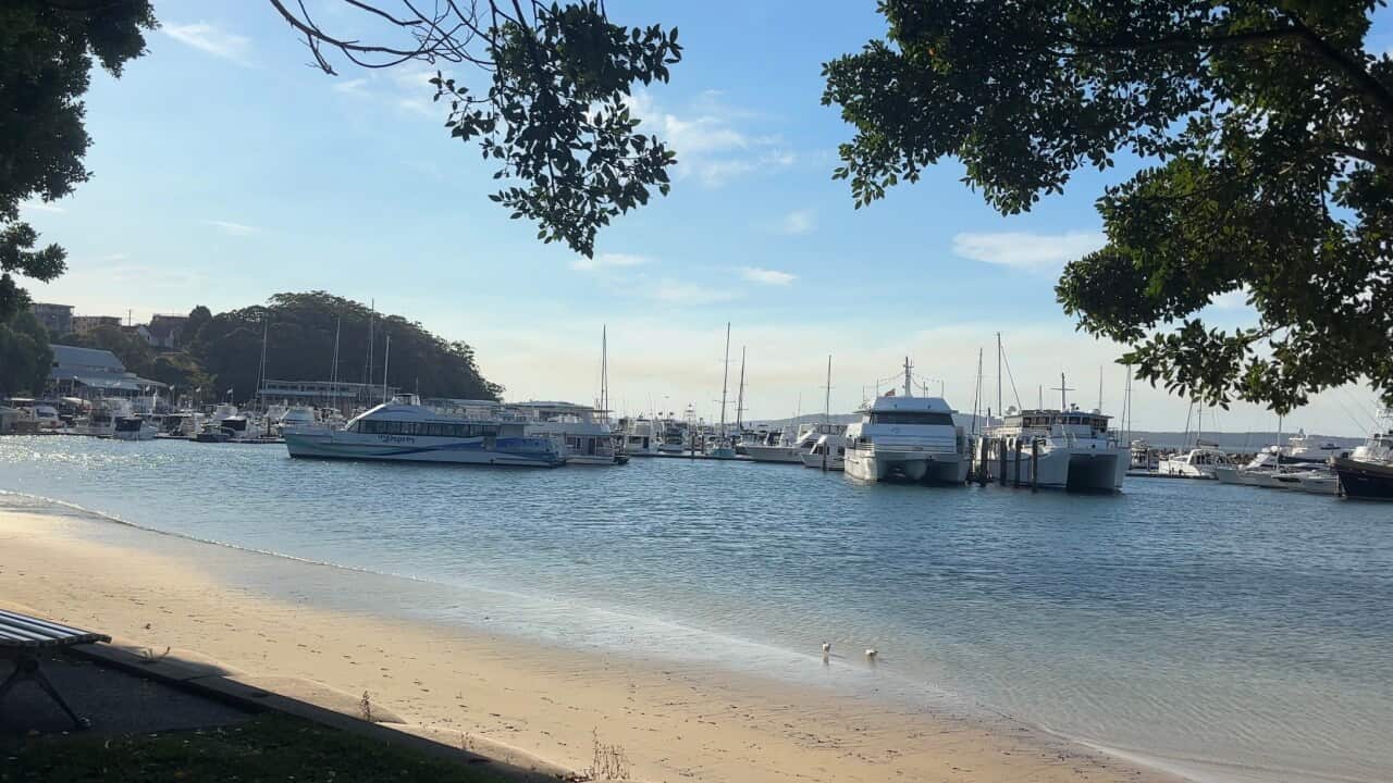 lead nelson bay.PNG.jpg