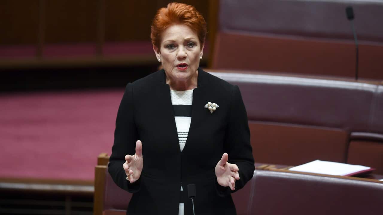 One Nation party leader Pauline Hanson makes a statement after a vote to suspend Australian Greens leader, Senator Richard Di Natale from the Senate at Parliament House in Canberra, Tuesday, November 27, 2018. (AAP Image/Lukas Coch) NO ARCHIVING