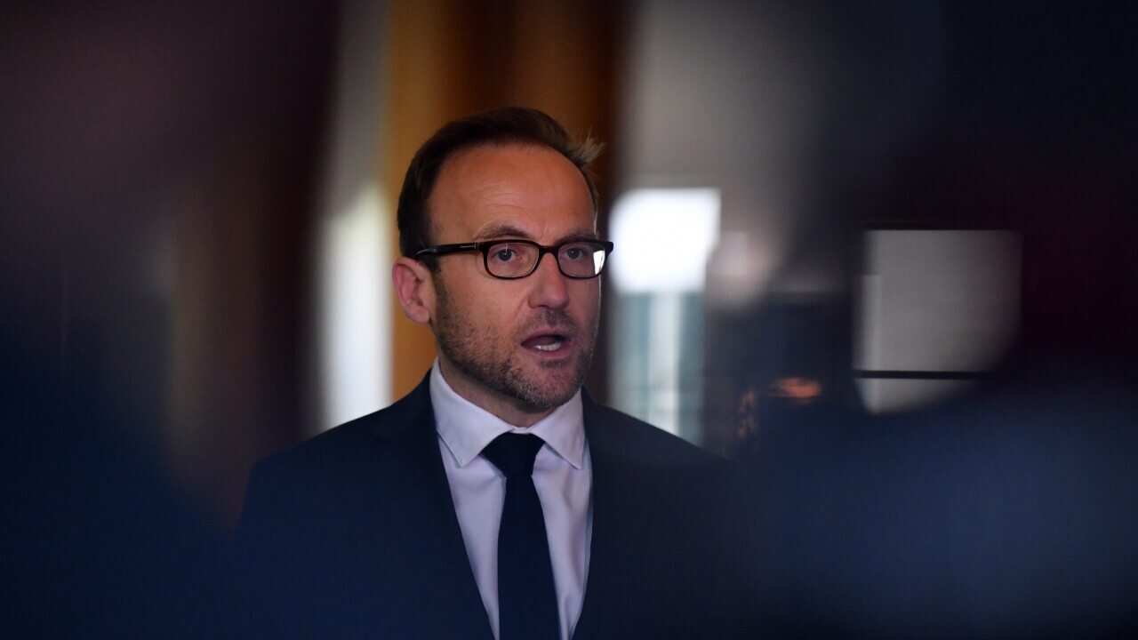 Greens leader Adam Bandt.