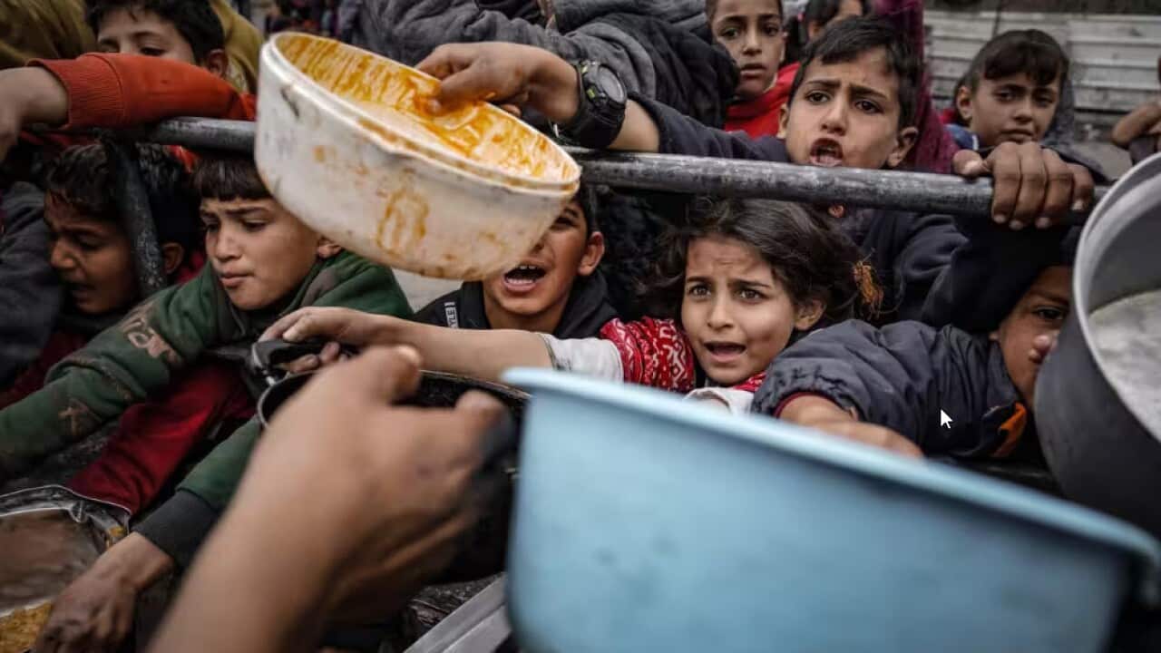 Image for read more article ''