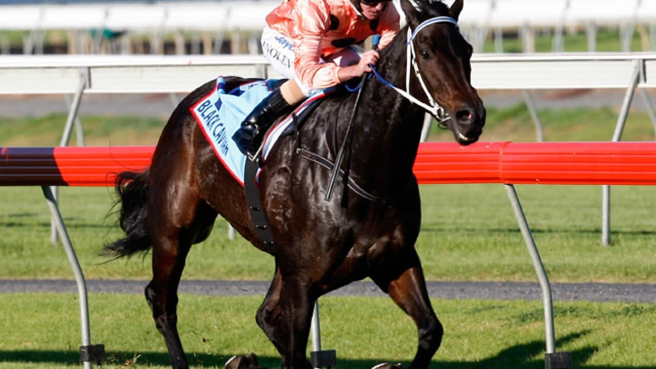 black_caviar_120512_getty_b_1561306691