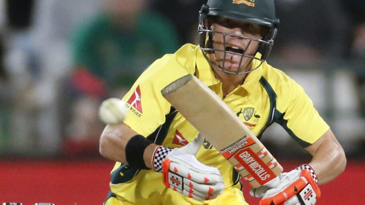 David Warner