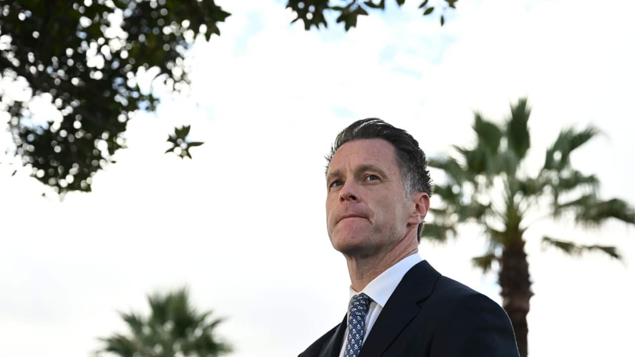 Image for read more article 'اقرأ أيضاً'