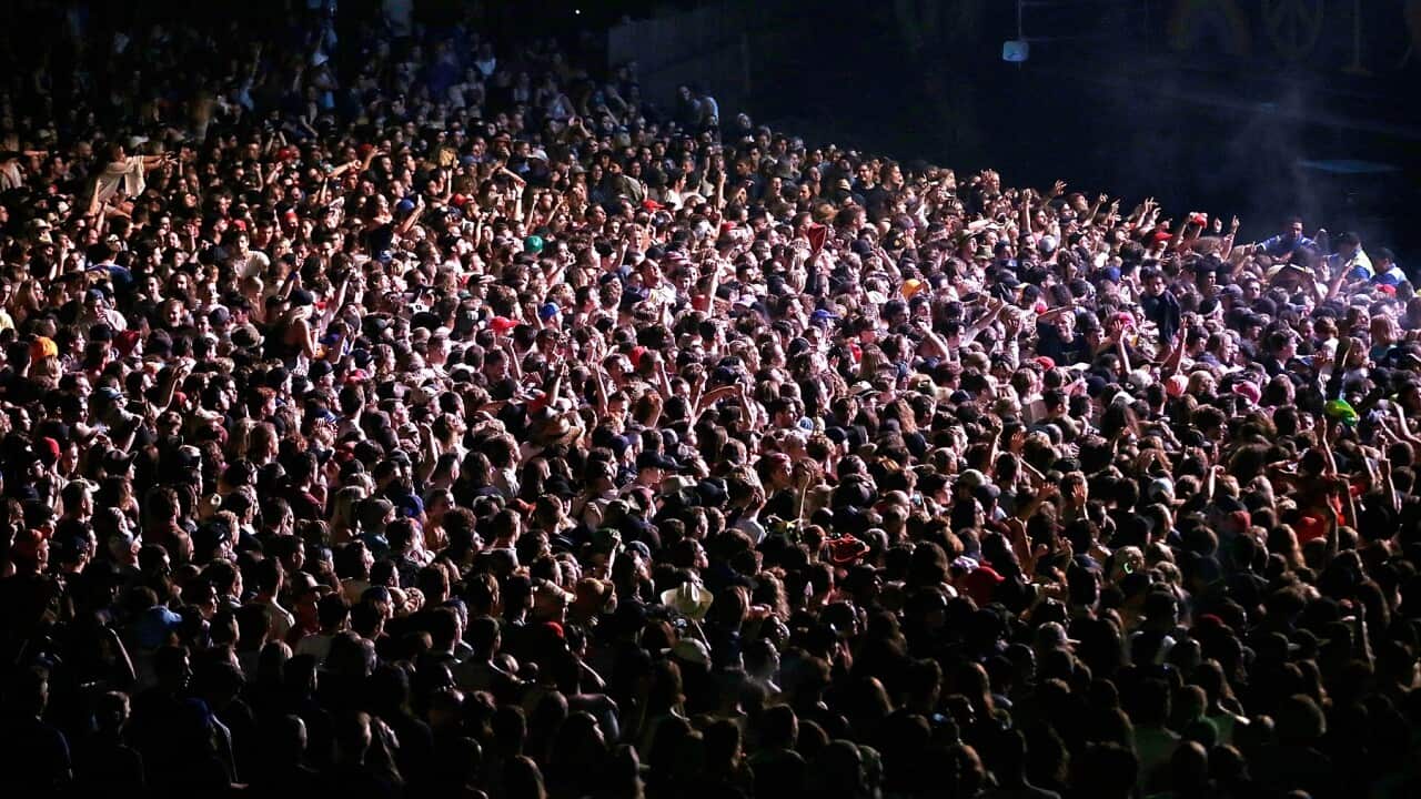 Splendour In The Grass 2016 - Byron Bay