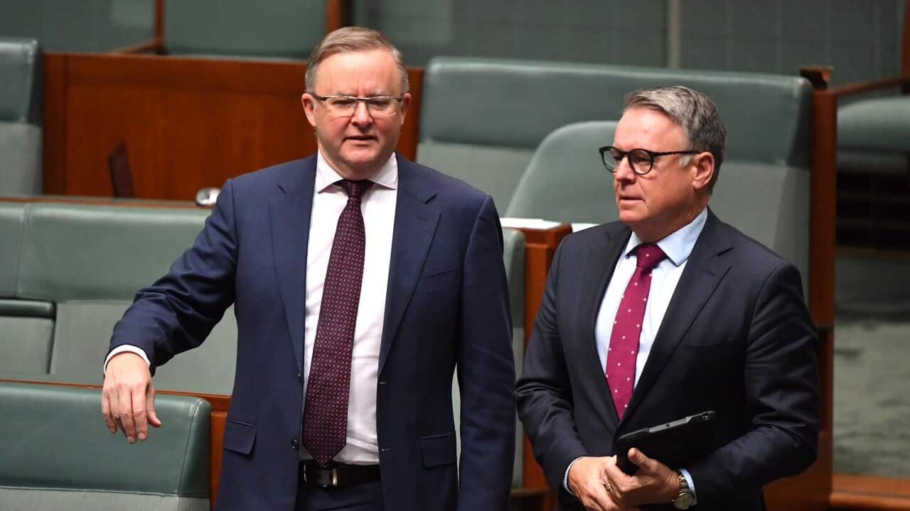 Opposition leader Anthony Albanese and former Shadow Minister for Agriculture Joel Fitzgibbon in the House of Representatives at Parliament House in Canberra.