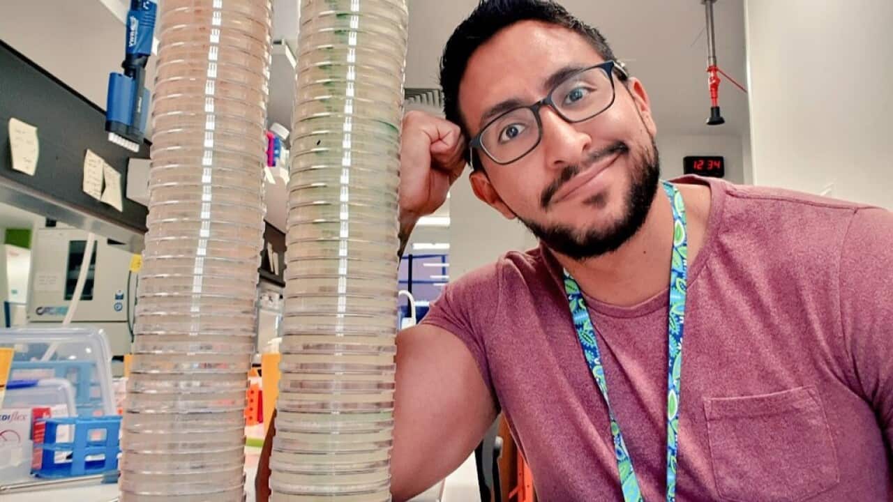 Image for read more article ''