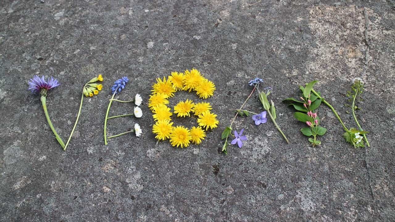 vegan wohlbefinden jetzt wellbeing lifestyle gesundheit ernährung essen rezept