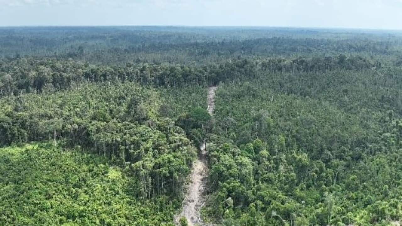 Kawasan Taman Nasional Tesso Nilo.foto dok Balai TNTN.jpg