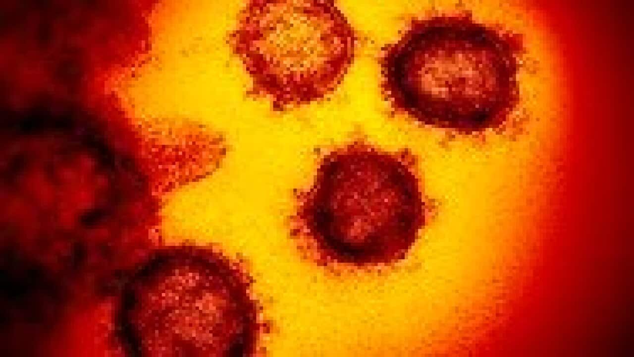 Coronavirus