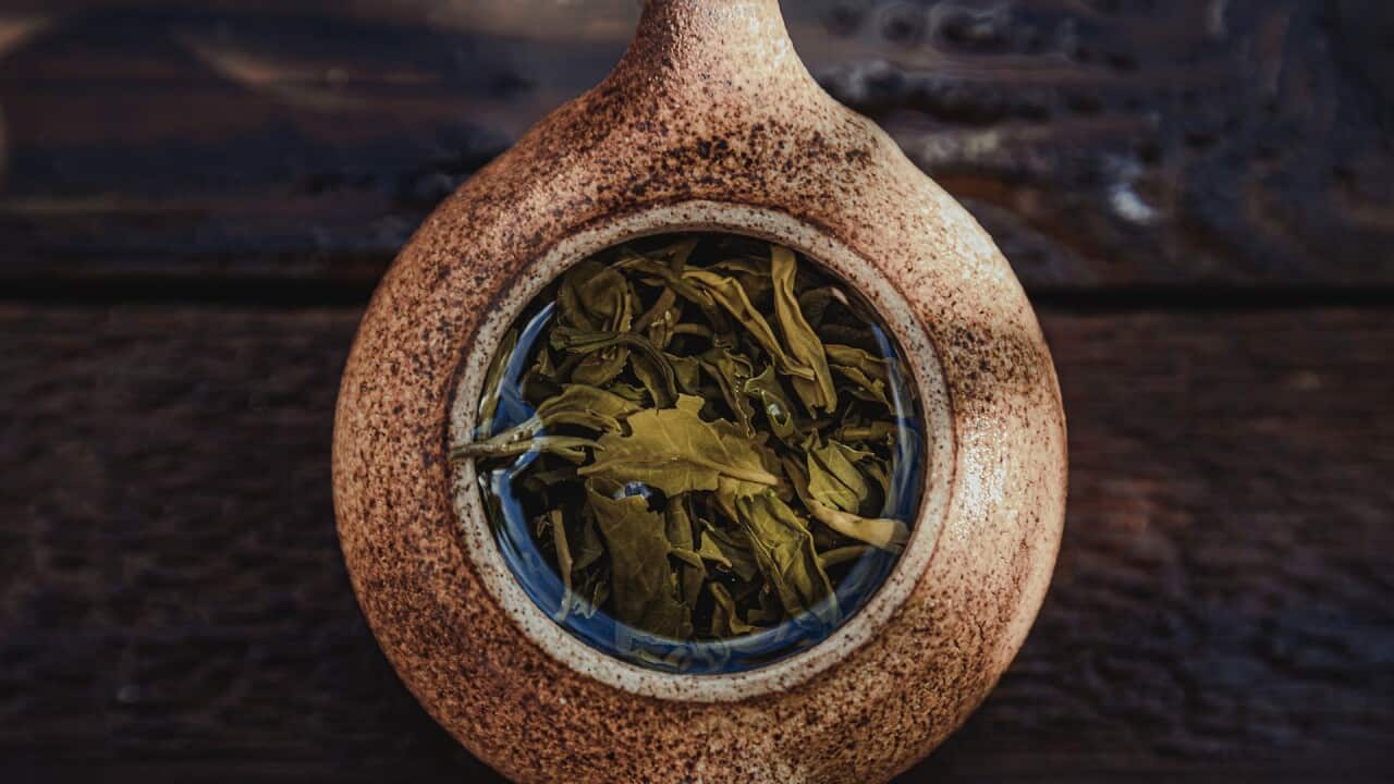 Image for read more article '更多內容'