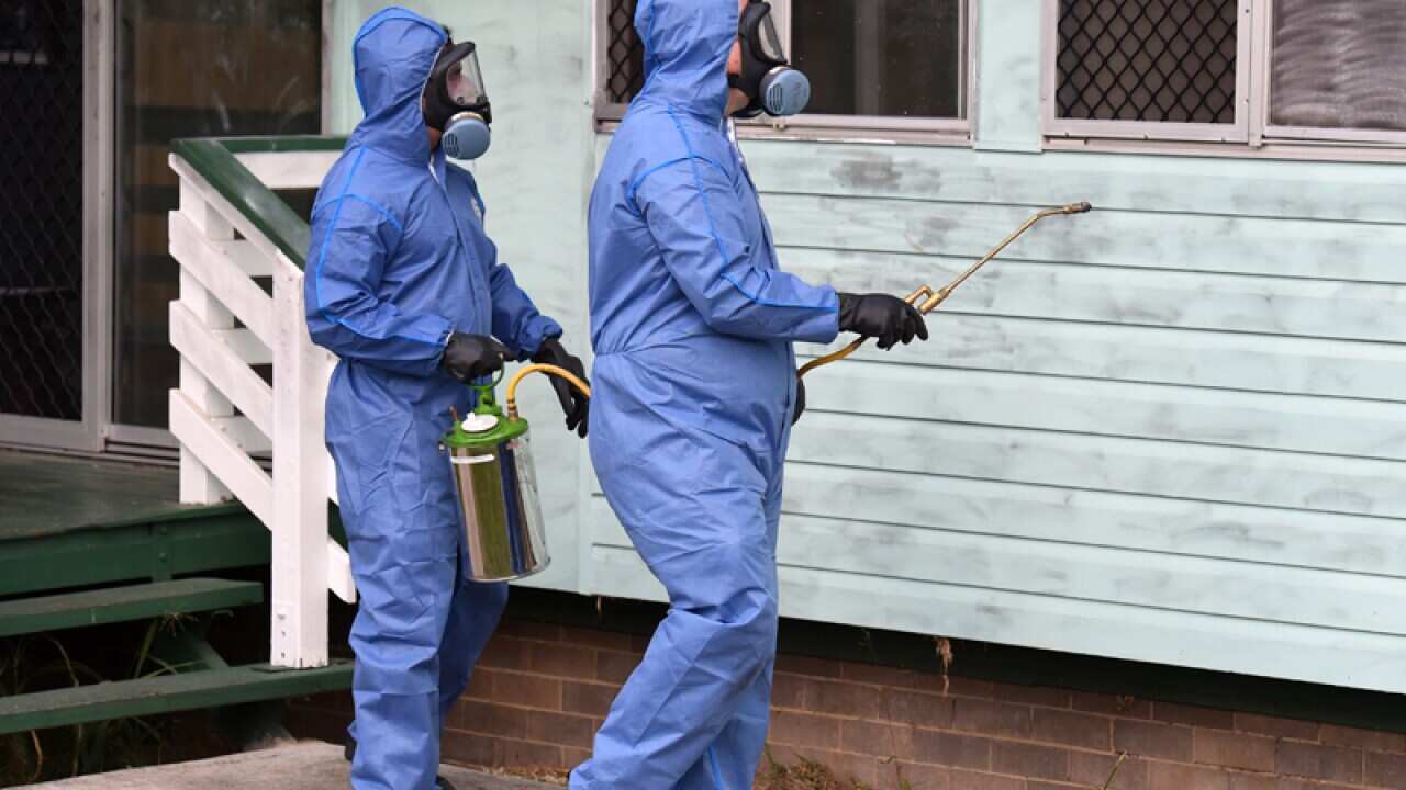 Forensics officers examine a house south of Brisbane