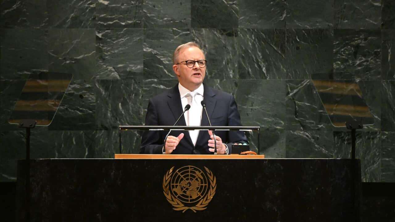 ANTHONY ALBANESE UNITED NATIONS