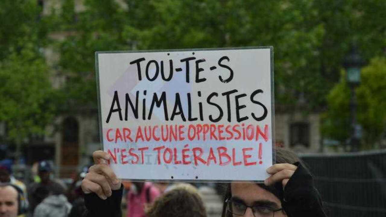 An animal rights activist holds a placard reading "All for animal rights because no oppression is tolerable" in Paris
