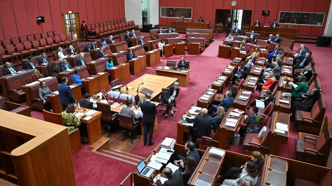 Image for read more article 'READ MORE'