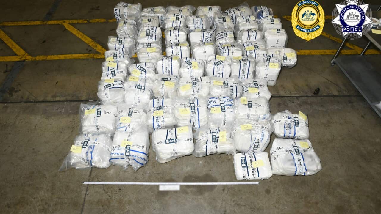 Seized drugs.jpg