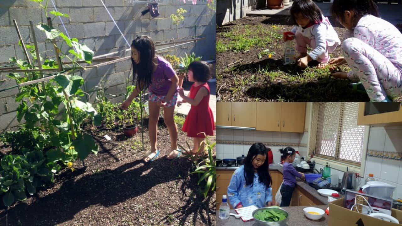 Susie and Sophie grow their own vegetables.