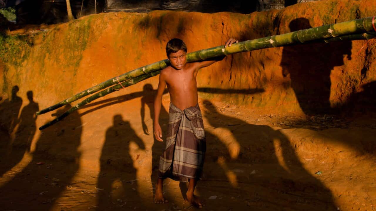 Image for read more article ''