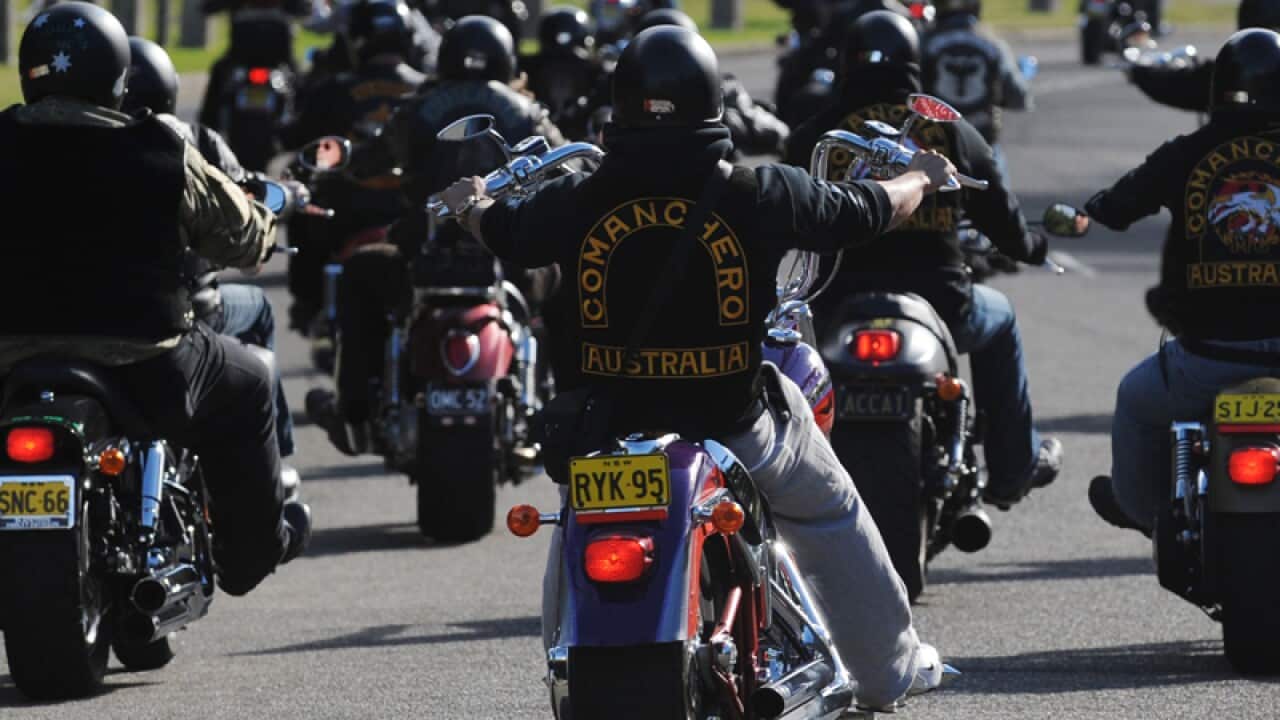 Members of 14 NSW outlaw motorcycle gangs