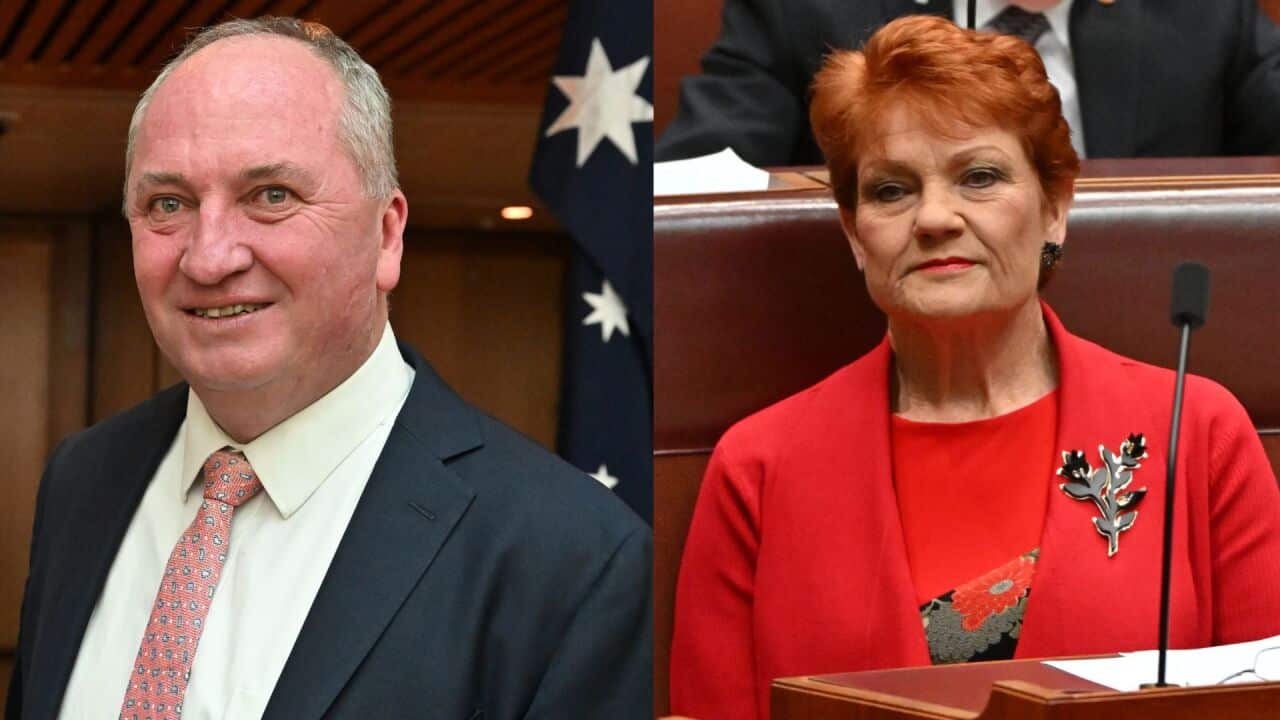 Barnaby Joyce and Pauline Hanson