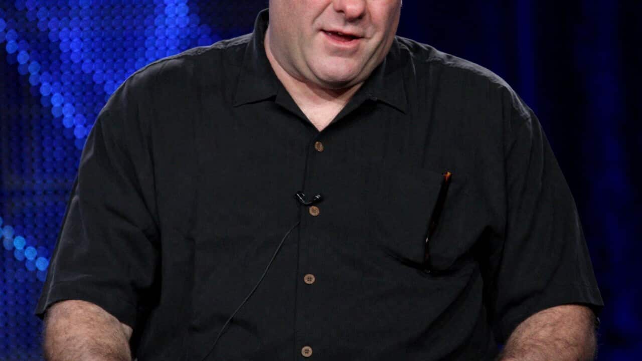 James Gandolfini's final film has premiered at the Toronto film festival 