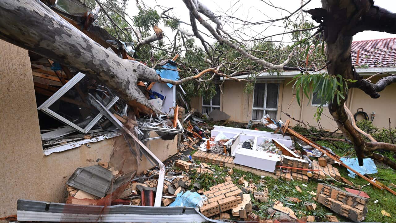 An uprooted tree crashed into a house with debris scattered around