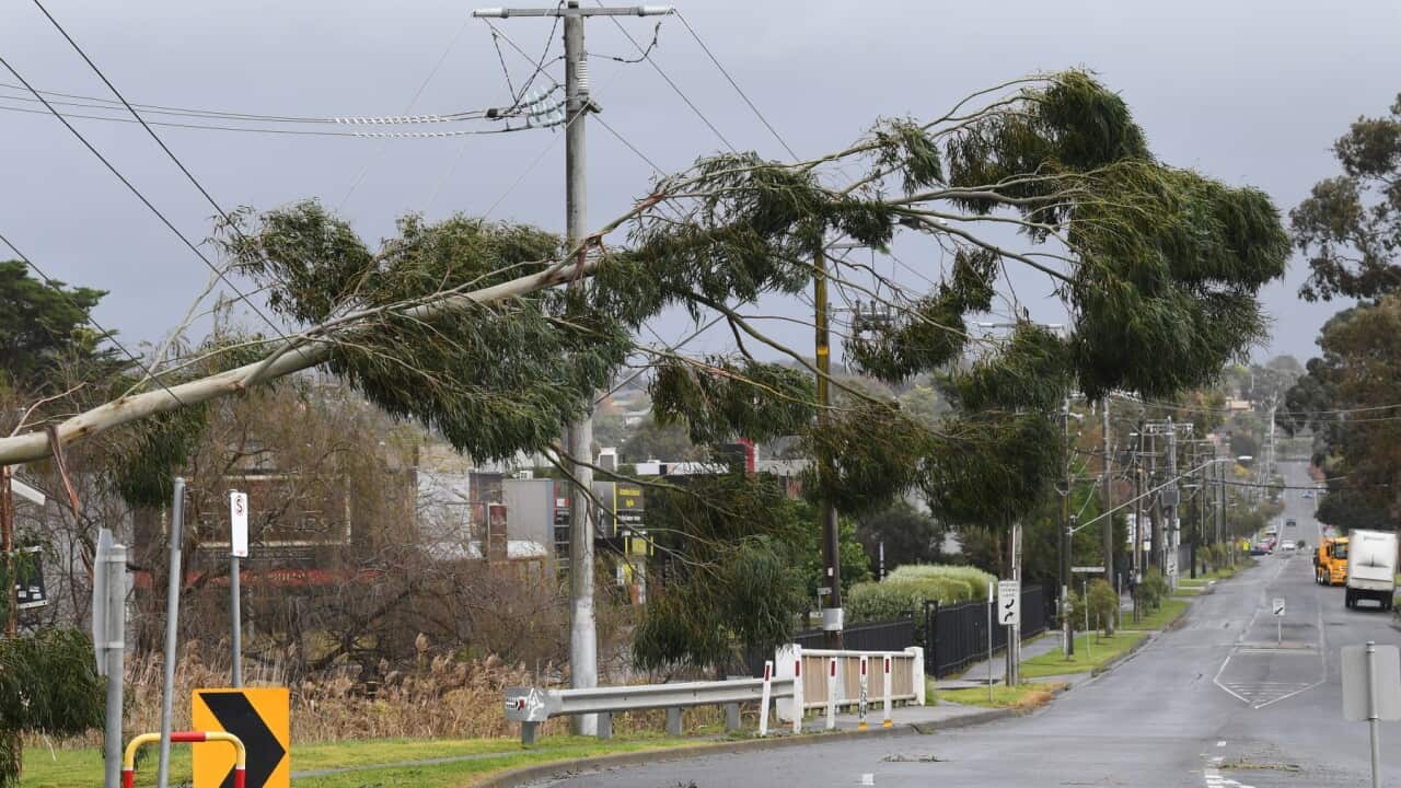 Representational image of wild weather in Australia.