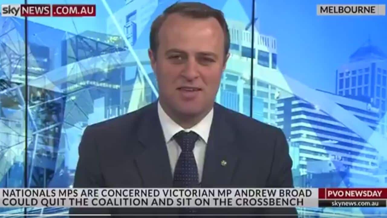 Liberal MP Tim Wilson
