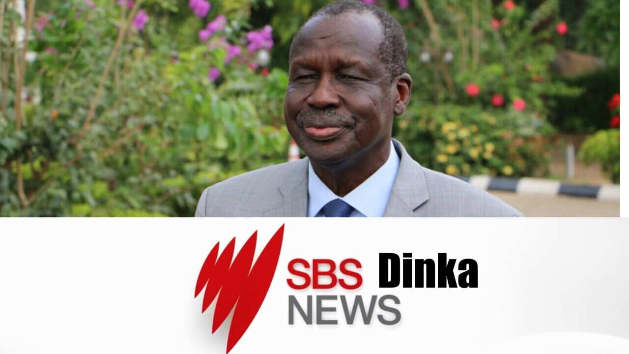 SBS Dinka news