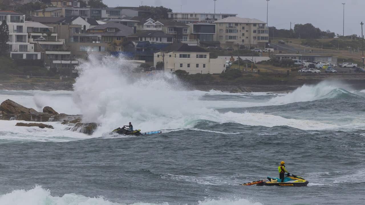 MISSING SWIMMER COOGEE